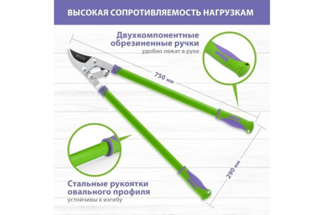 Купить Сучкорез 750мм прямого реза двухрычажный механизм PALISAD 60522 фото №6