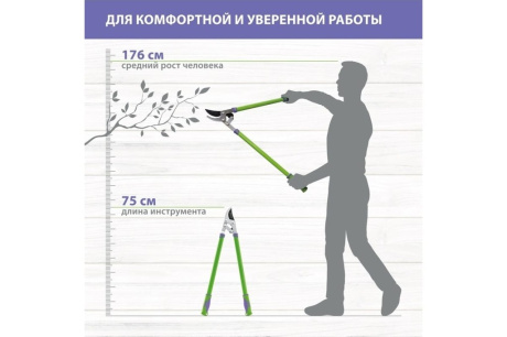 Купить Сучкорез 750мм прямого реза двухрычажный механизм PALISAD 60522 фото №9